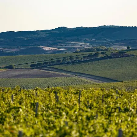 Tenuta Di Montecucco - Collemassari Hospitality